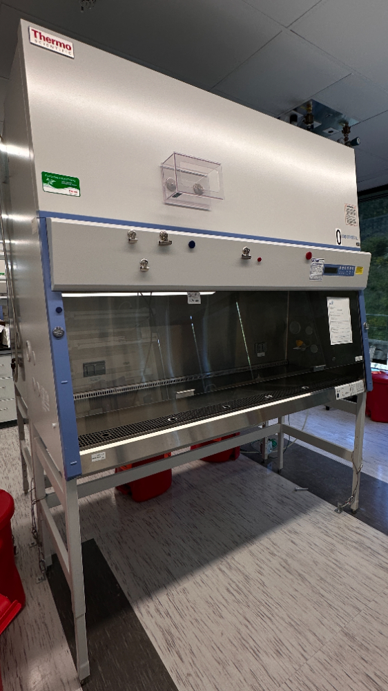 Image of Thermo Scientific 1300 Series A2 BSC- 6ft